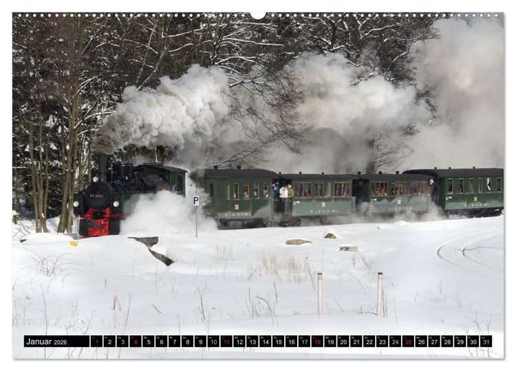 Produktbild: Schmalspurbahnen in Sachsen Anhalt (Wandkalender 2026 DIN A2 quer), CALVENDO Monatskalender