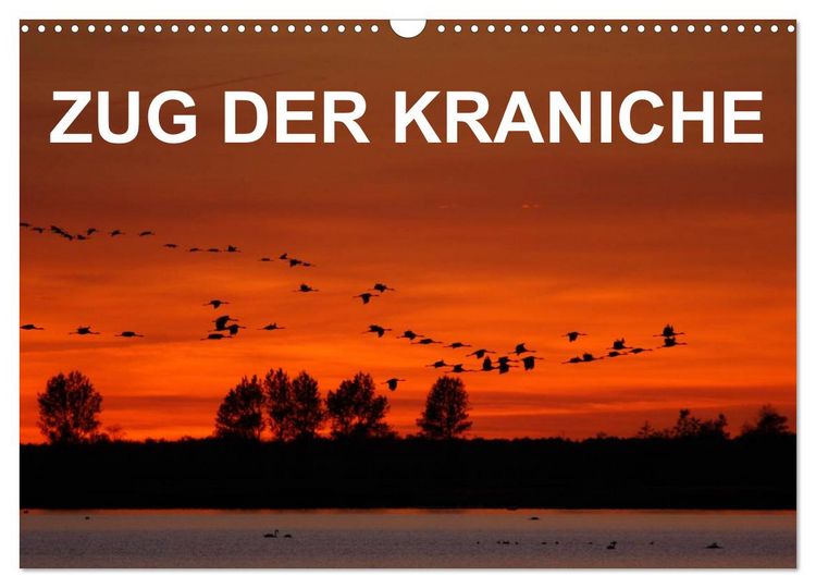 Produktbild: Zug der Kraniche (Wandkalender 2026 DIN A3 quer), CALVENDO Monatskalender