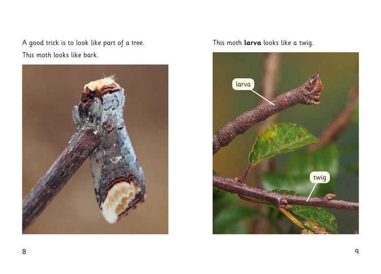 Produktbild: Hidden Bugs