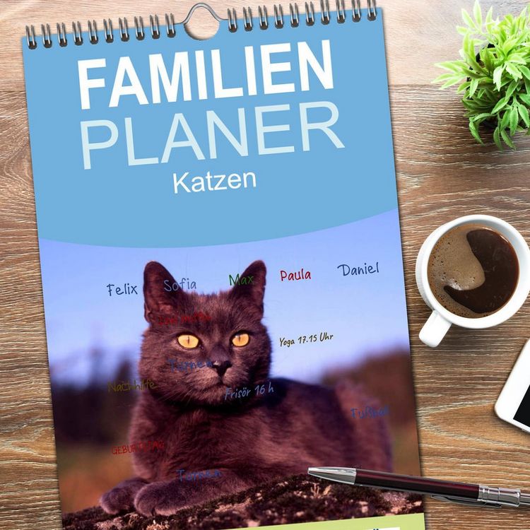 Produktbild: Familienplaner 2026 - Katzen mit 5 Spalten (Wandkalender, 21 x 45 cm) CALVENDO