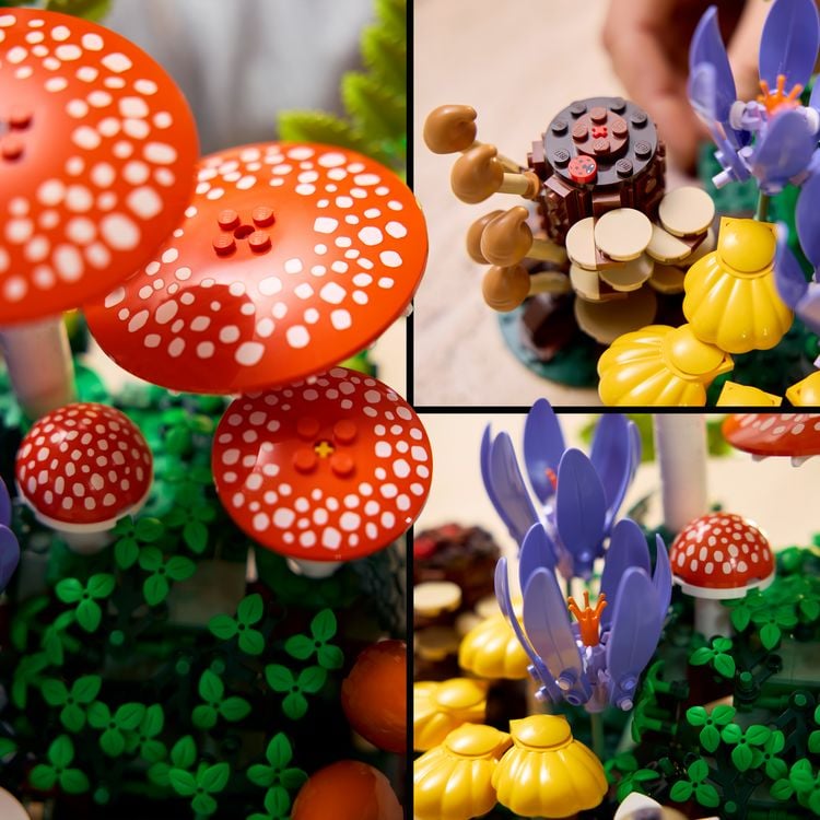 Produktbild: LEGO Botanicals 11505 Waldpilze, Modellbau f&uuml;r Erwachsene
