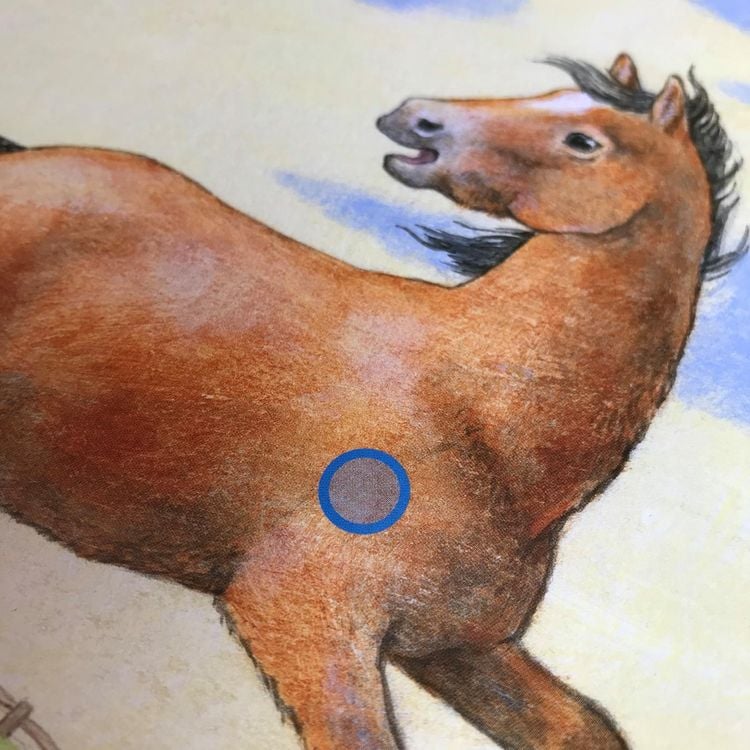 Produktbild: Hör mal (Soundbuch): Der Bauernhof