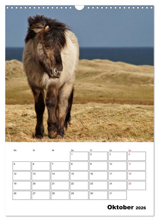 Produktbild: ISLANDPFERDE an der K&uuml;ste von Sn&aelig;fellsnes (Wandkalender 2026 DIN A3 hoch), CALVENDO Monatskalender