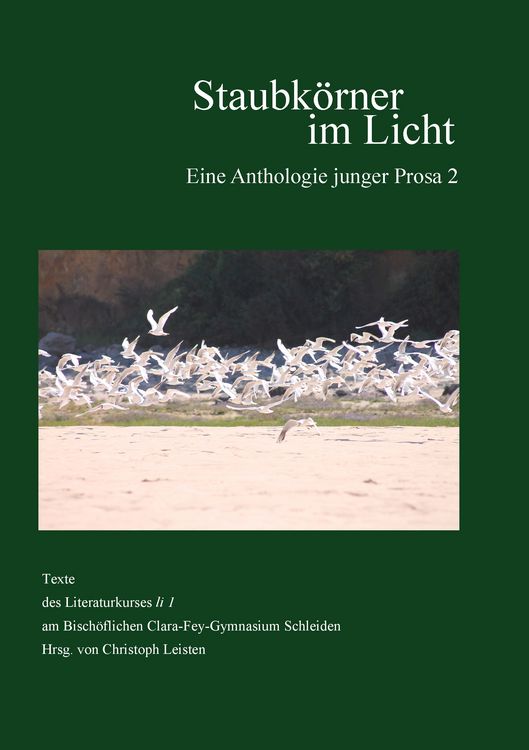 Produktbild: Staubk&ouml;rner im Licht