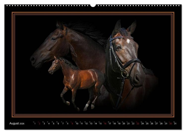Produktbild: Traumpferde-ART-Collection (hochwertiger Premium Wandkalender 2026 DIN A2 quer), Kunstdruck in Hochglanz