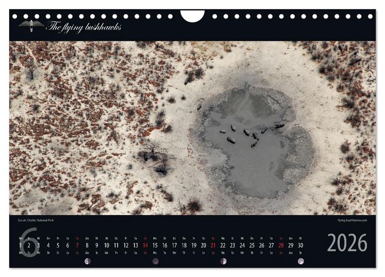 Produktbild: Botswana Blickwinkel 2026 (Wandkalender 2026 DIN A4 quer), CALVENDO Monatskalender