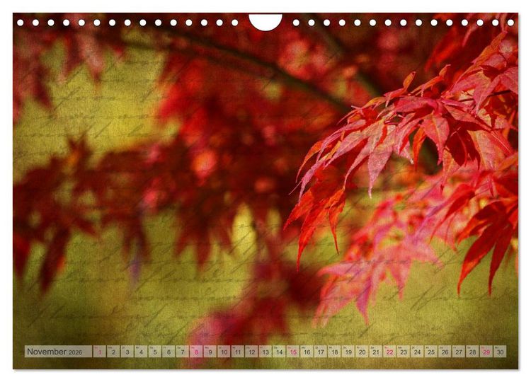 Produktbild: Vintage Nature - Romantische Naturaufnahmen (Wandkalender 2026 DIN A4 quer), CALVENDO Monatskalender