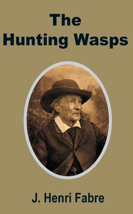Produktbild: Hunting Wasps, The