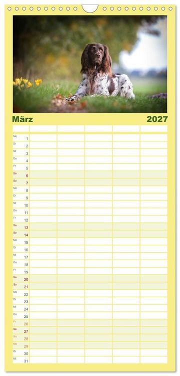 Produktbild: Familienplaner 2027 - Passion Jagdhund - Deutsch Langhaar mit 5 Spalten (Wandkalender, 21 x 45 cm) CALVENDO