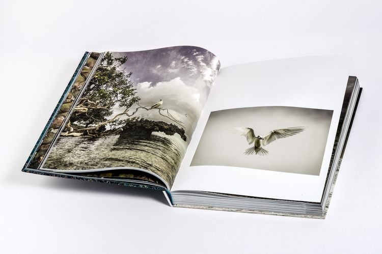 Produktbild: Wilder Ozean