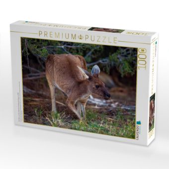 Produktbild: CALVENDO Puzzle Ein Motiv aus dem Kalender Freilebende K&auml;ngurus 2019 | 1000 Teile Lege-Gr&ouml;&szlig;e 64x48cm Foto-Puzzle f&uuml;r gl&uuml;ckliche Stunden