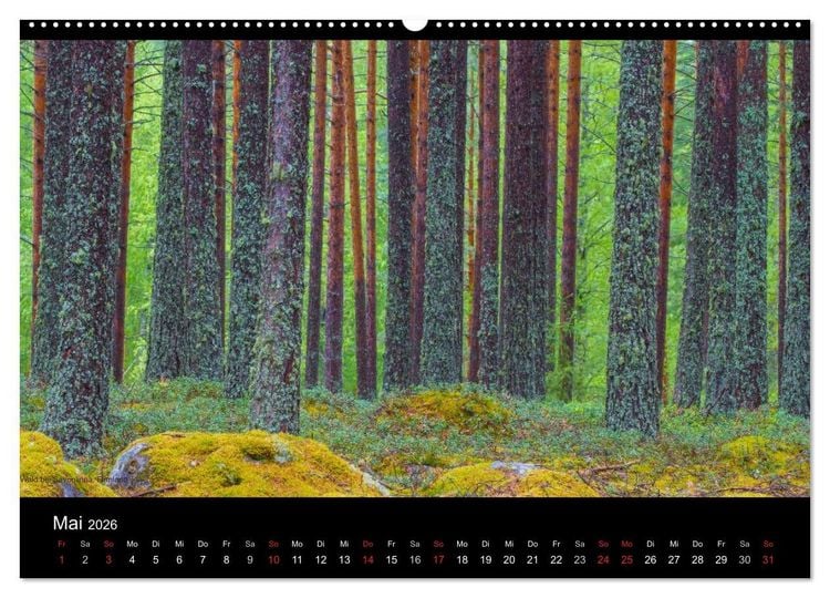 Produktbild: Naturwucht Skandinavien (hochwertiger Premium Wandkalender 2026 DIN A2 quer), Kunstdruck in Hochglanz