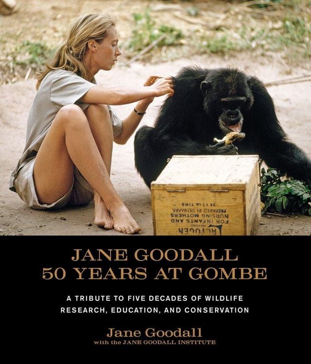 Produktbild: Jane Goodall: 50 Years at Gombe