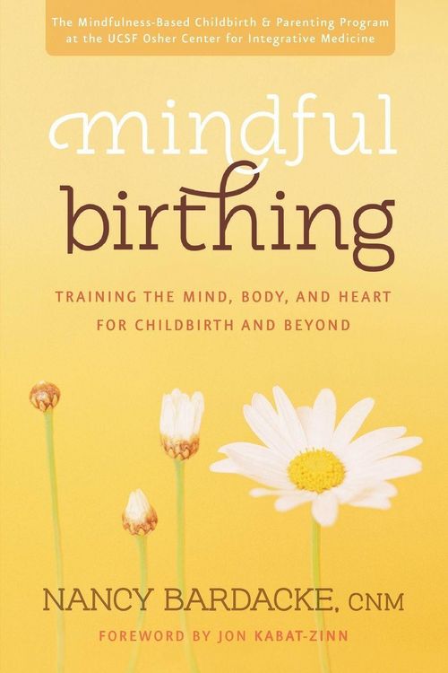 Produktbild: Mindful Birthing