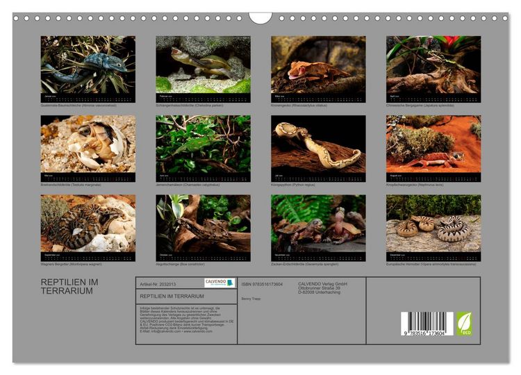 Produktbild: REPTILIEN IM TERRARIUM (Wandkalender 2026 DIN A3 quer), CALVENDO Monatskalender