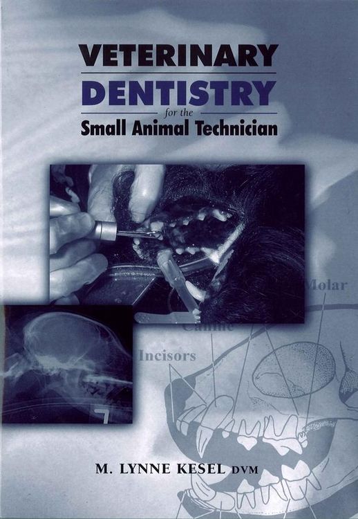 Produktbild: Veterinary Dentistry for the Small Animal Technician