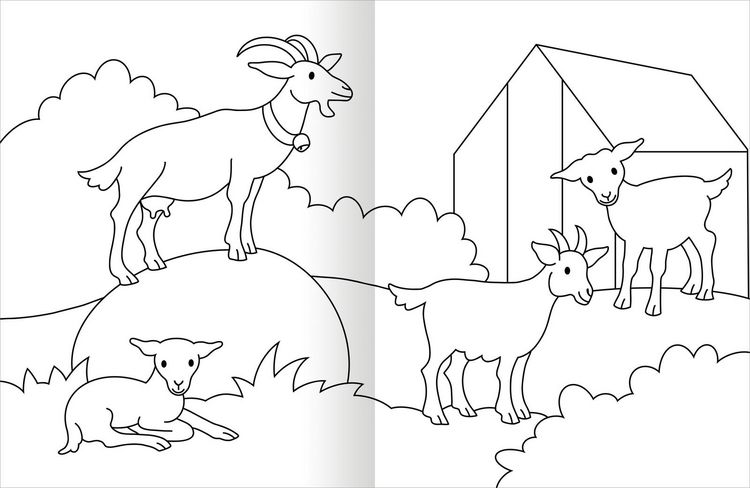 Produktbild: Malbuch Bauernhof
