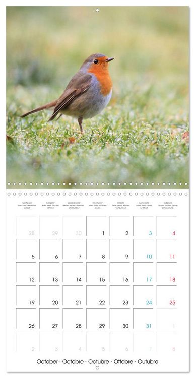 Produktbild: Au gr&eacute; des plumes (Calendrier mural carr&eacute; 2026 30x30 cm) Calendrier double avec une page pour vos prises de notes