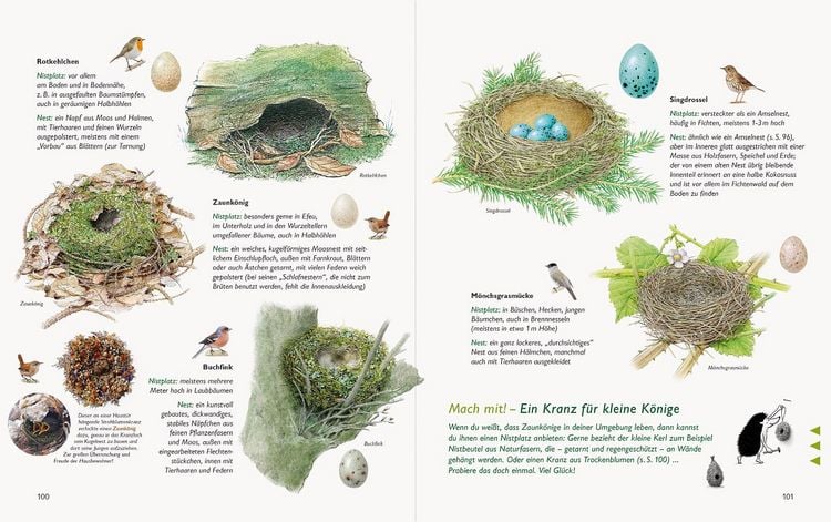Produktbild: Wawra's Naturbuch &ndash; Unserer Natur auf der Spur, Bd. 1: S&auml;ugetiere, V&ouml;gel, Reptilien, Amphibien