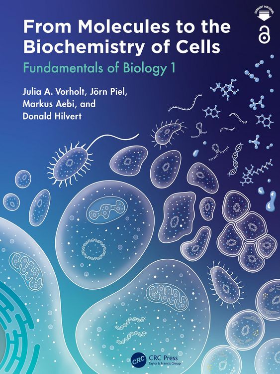 Produktbild: From Molecules to the Biochemistry of Cells