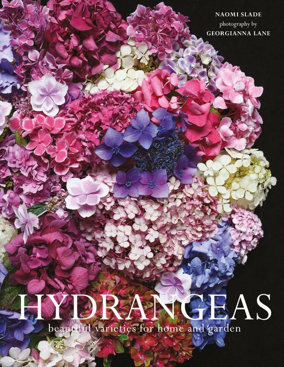 Produktbild: Hydrangeas