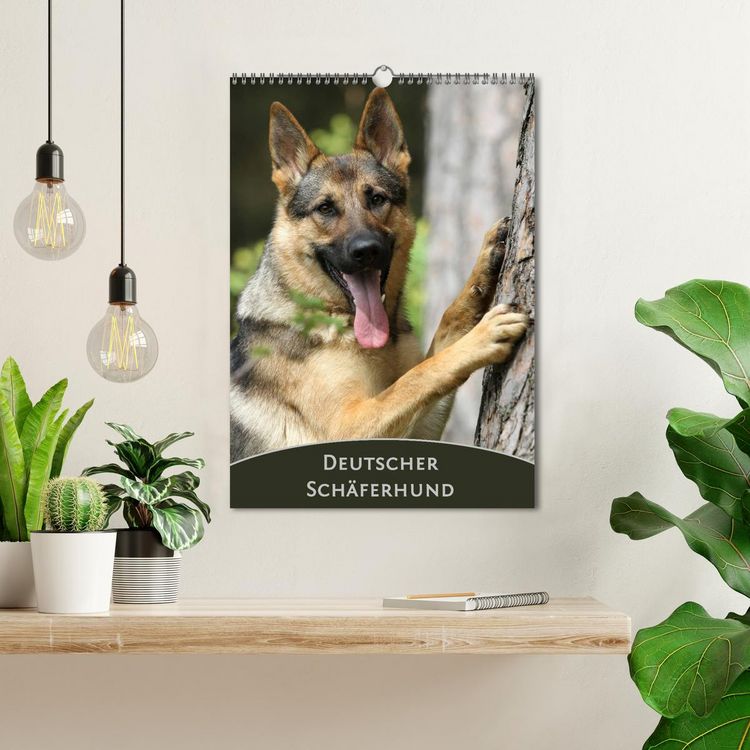 Produktbild: Deutscher Sch&auml;ferhund (Wandkalender 2026 DIN A3 hoch), CALVENDO Monatskalender