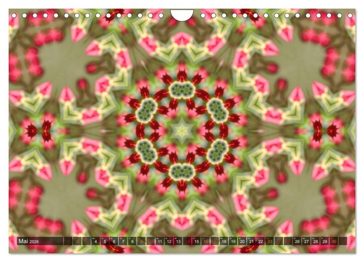 Produktbild: Natur im Kaleidoskop (Wandkalender 2026 DIN A4 quer), CALVENDO Monatskalender