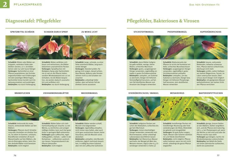 Produktbild: Orchideen pflegen