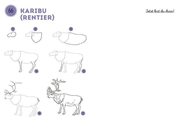 Produktbild: 300 Motive zeichnen &ndash;&nbsp;Tiere