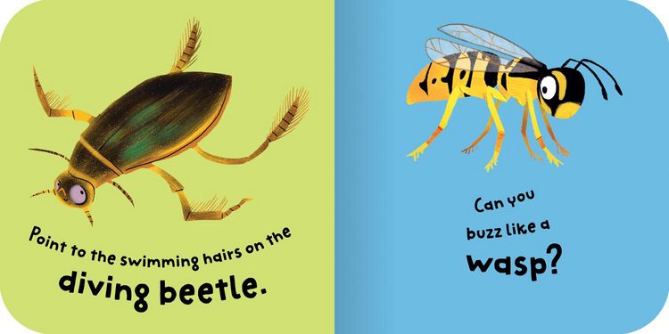 Produktbild: Bugs