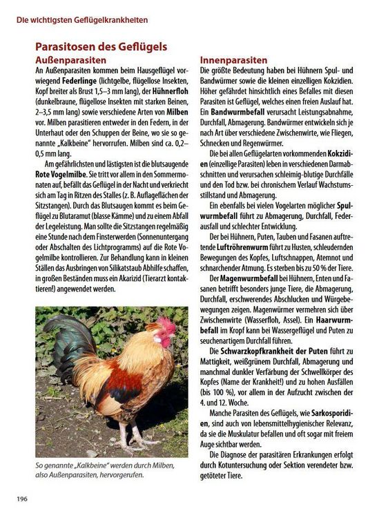 Produktbild: Die h&auml;ufigsten Nutztierkrankheiten