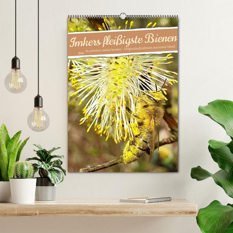 Produktbild: Imkers flei&szlig;igste Bienen - So arbeiten meine Immen &ndash; Originalaufnahmen aus erster Hand (Wandkalender 2026 DIN A2 hoch), CALVENDO Monatskalender