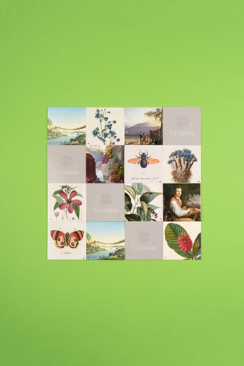 Produktbild: Alexander von Humboldt. Memo