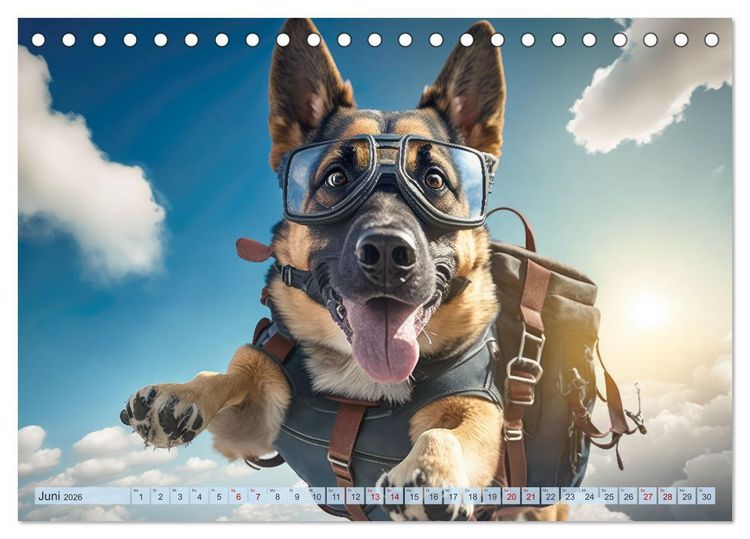 Produktbild: Hunde Skydiving (Tischkalender 2026 DIN A5 quer), CALVENDO Monatskalender