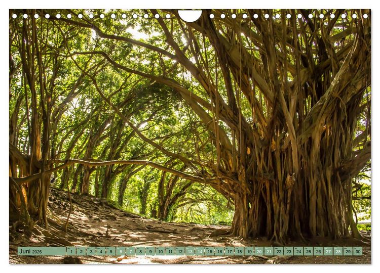 Produktbild: Big Island - Reise in eine unvergessliche Welt (Wandkalender 2026 DIN A4 quer), CALVENDO Monatskalender