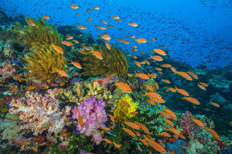 Produktbild: UNSER BLAUER PLANET II - Die komplette ungeschnittene Serie zur ARD-Reihe "Der blaue Planet" [3 BRs]