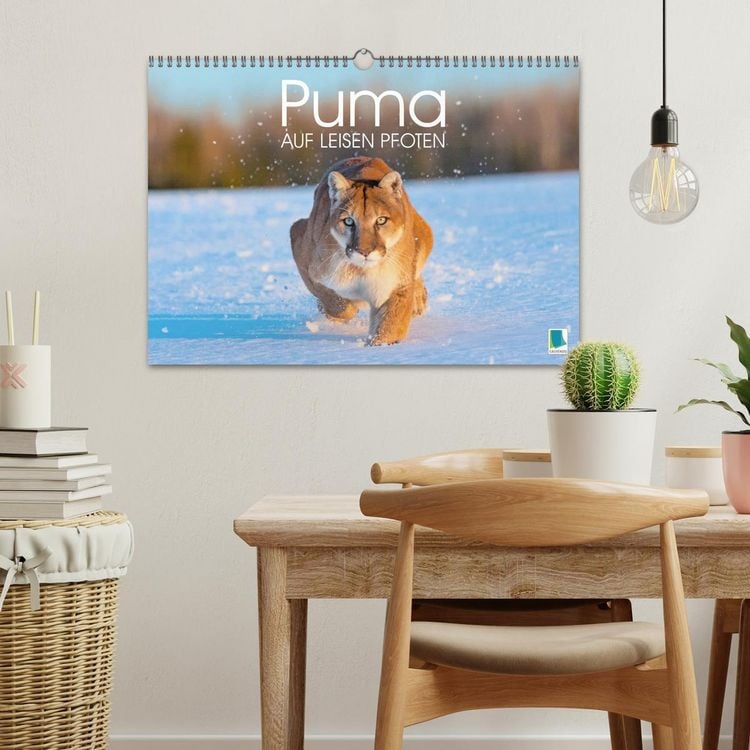 Produktbild: Puma: Auf leisen Pfoten (Wandkalender 2026 DIN A3 quer), CALVENDO Monatskalender