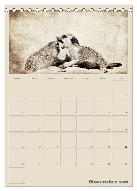 Produktbild: Lustige Erdm&auml;nnchen (Tischkalender 2026 DIN A5 hoch), CALVENDO Monatskalender