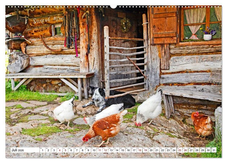 Produktbild: Almen im S&uuml;dtiroler Ultental (hochwertiger Premium Wandkalender 2026 DIN A2 quer), Kunstdruck in Hochglanz