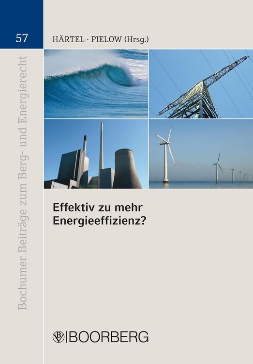 Produktbild: Effektiv zu mehr Energieeffizienz?