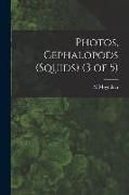 Produktbild: Photos, Cephalopods (Squids) (3 of 5)