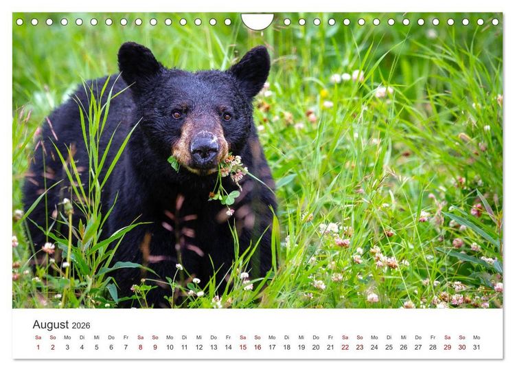 Produktbild: British Columbia - Faszination Kanada (Wandkalender 2026 DIN A4 quer), CALVENDO Monatskalender