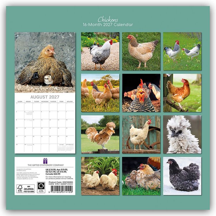 Produktbild: Chickens &ndash; H&uuml;hner 2027 &ndash; 16-Monatskalender