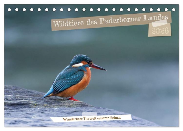 Produktbild: Wildtiere des Paderborner Landes (Tischkalender 2026 DIN A5 quer), CALVENDO Monatskalender
