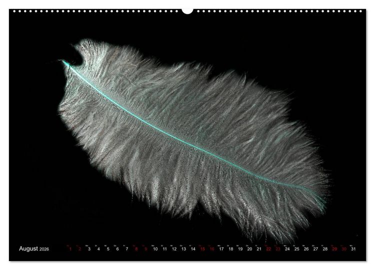 Produktbild: Federleichte Momente (Wandkalender 2026 DIN A2 quer), CALVENDO Monatskalender