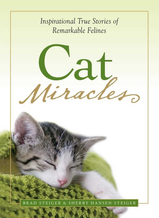 Produktbild: Cat Miracles
