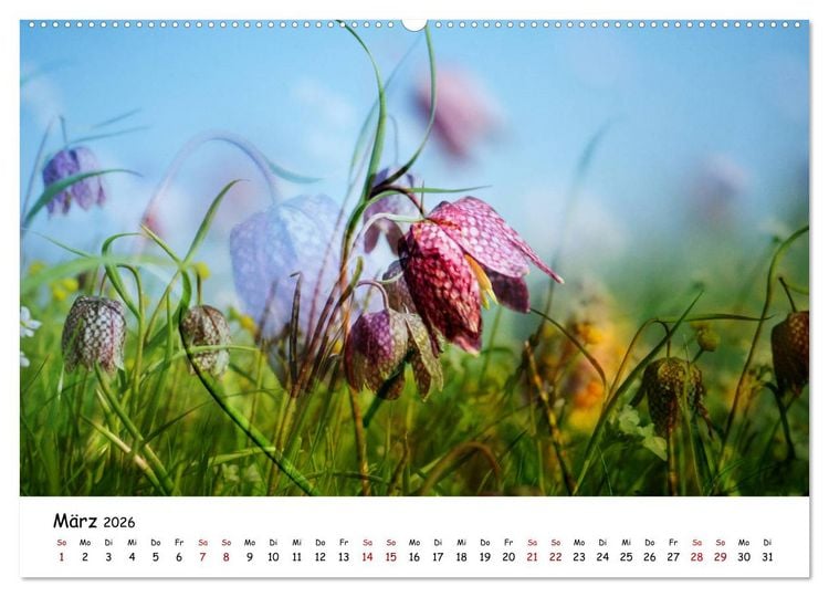 Produktbild: Pinneberger Art (hochwertiger Premium Wandkalender 2026 DIN A2 quer), Kunstdruck in Hochglanz