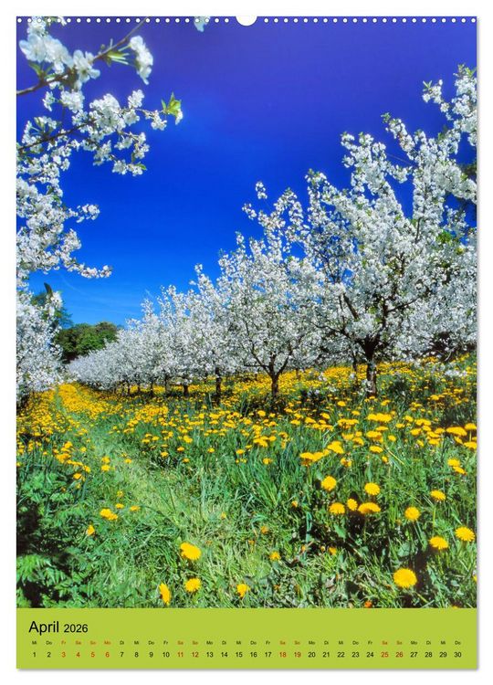 Produktbild: Schleswig-Holstein. Du bist so sch&ouml;n. (hochwertiger Premium Wandkalender 2026 DIN A2 hoch), Kunstdruck in Hochglanz