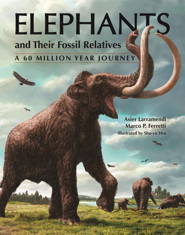 Produktbild: Elephants and Their Fossil Relatives