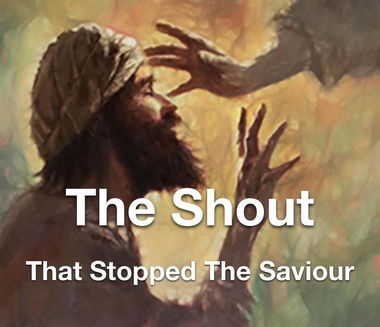 Produktbild: The Shout That Stopped The Saviour
